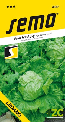 Almi Praha - Salát hlávkový ledový Ledano 0,6 g